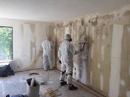 Why You Should Choose Our Mold Remediation Services in Rosenhayn, NJ